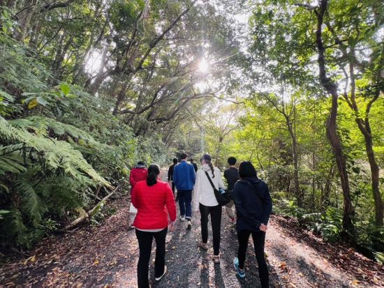 金作原原生林トレッキング＋マングローブカヌーツアー　奄美の大自然を満喫する旅＜お弁当付／6～7時間／名瀬中心地 送迎可能＞ by アマニコガイドサービス