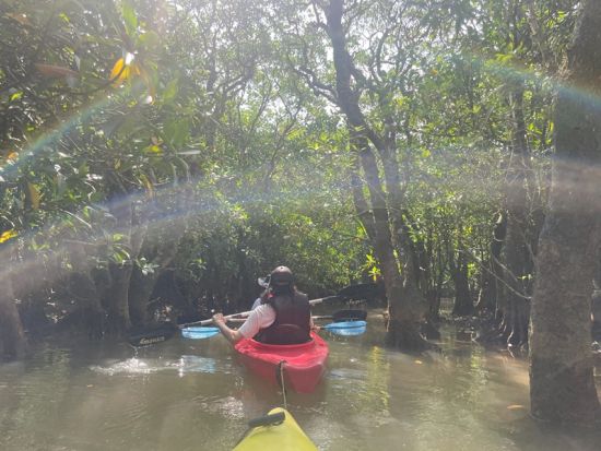 金作原原生林トレッキング＋マングローブカヌーツアー　奄美の大自然を満喫する旅＜お弁当付／6～7時間／名瀬中心地 送迎可能＞ by アマニコガイドサービス