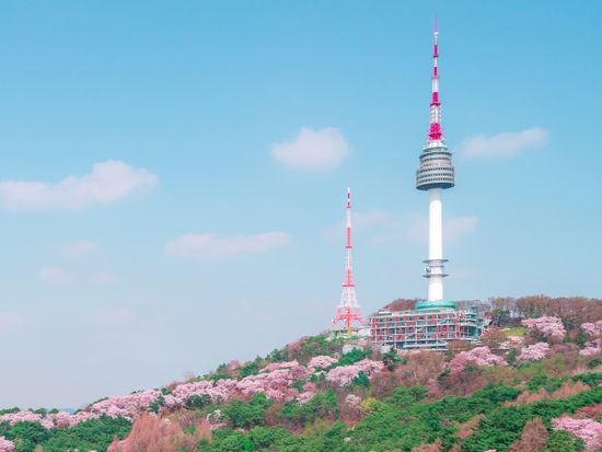 shutterstock_2149099947