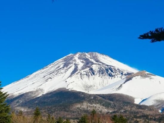 東京発日帰りバスツアー　富士山五合目＆箱根！遊覧船＆ロープウェー体験＋復路は新幹線でらくらく移動＜すき焼き御膳の昼食付／英語ガイド＞