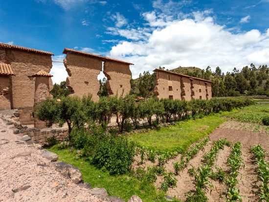 shutterstock_2485370683