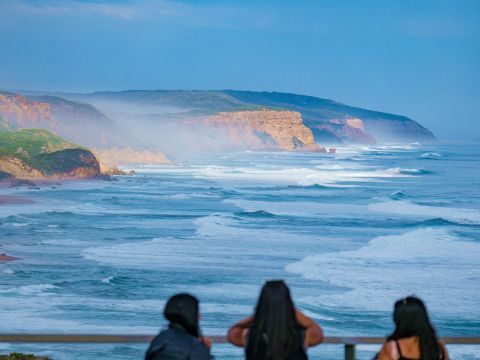 グレートオーシャンロード観光ツアー　ブッシュウォーク＋12人の使徒＋ロックアードゴージ＋メモリアルアーチ＋アポロベイを訪問！＜英語ガイド／メルボルン発＞