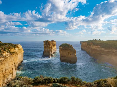 グレートオーシャンロード観光ツアー　ブッシュウォーク＋12人の使徒＋ロックアードゴージ＋メモリアルアーチ＋アポロベイを訪問！＜英語ガイド／メルボルン発＞
