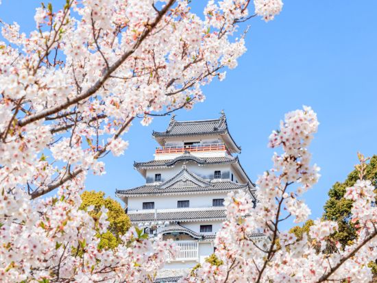 武雄市内発着貸切観光タクシー　呼子＆唐津コース　唐津城＋宝当神社（高島）＋七ツ釜遊覧＋波戸岬観光をご案内 ＜約9時間＞ by 温泉タクシー