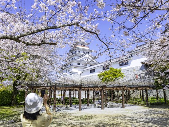 嬉野温泉駅発／武雄市内着貸切観光タクシー　呼子＆唐津コース　唐津城＋宝当神社（高島）＋七ツ釜遊覧＋波戸岬観光 ＜約9時間＞ by 温泉タクシー