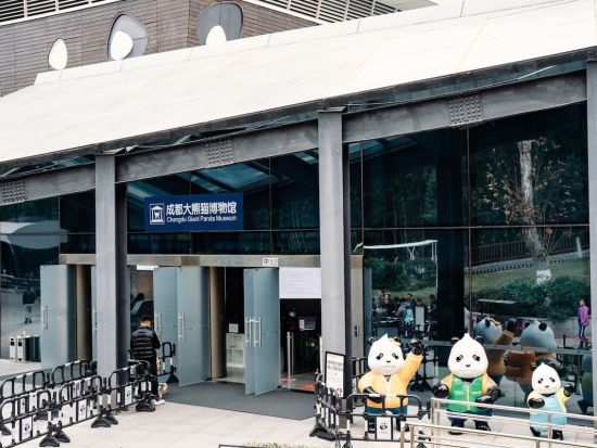 ジャイアントパンダ繁殖研究基地入場券　自然の楽園で貴重なパンダの生態を学ぶ＜成都／多言語ガイド＞