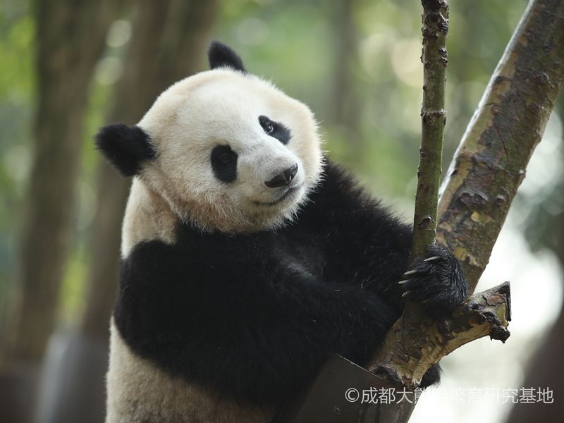 HC2OI_a9524832-44a3-4861-835a-b43bf89b1f99