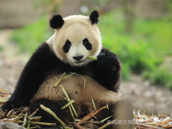 HC2OI_7e4a1f06-2ae1-40e7-adba-d7e757a0c8dd