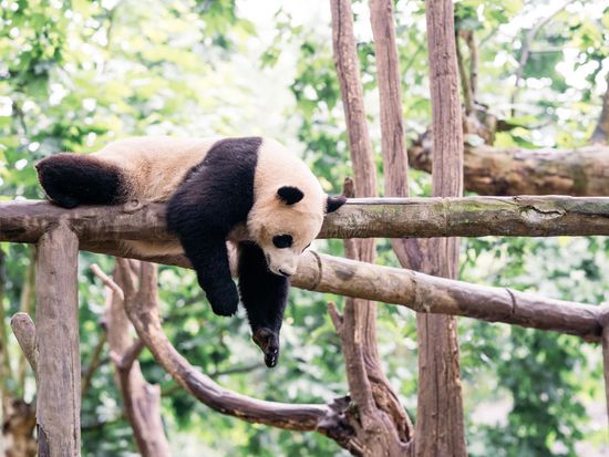 HC2OI_840c016c-ba4b-4feb-aaf3-f3d122c3a05b