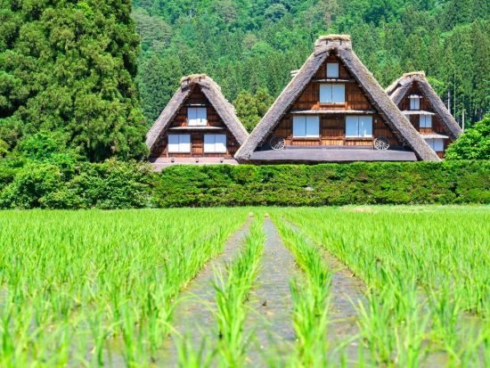 名古屋発2日間バスツアー 雪の大谷ウォーク＆となみチューリップフェア 室堂に約3時間滞在！＜1泊2日／名古屋発着＞