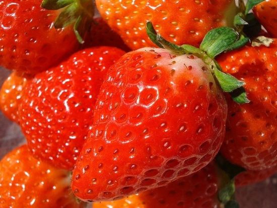 春の絶景＆旬の味覚！阿智村・花桃街道と約10品種イチゴ狩り食べ放題＜4月／名古屋発着＞