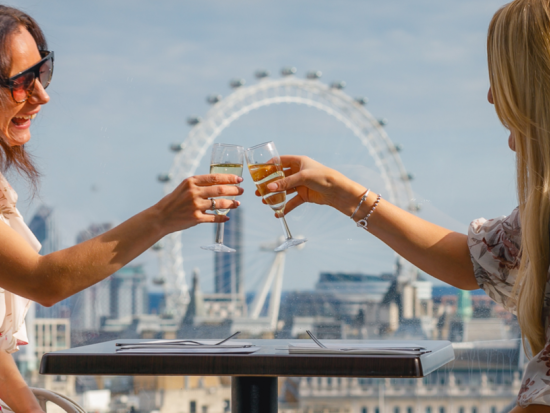 『となりのトトロ（My Neighbour Totoro）』舞台版　チケット予約＜ディナー付き＞