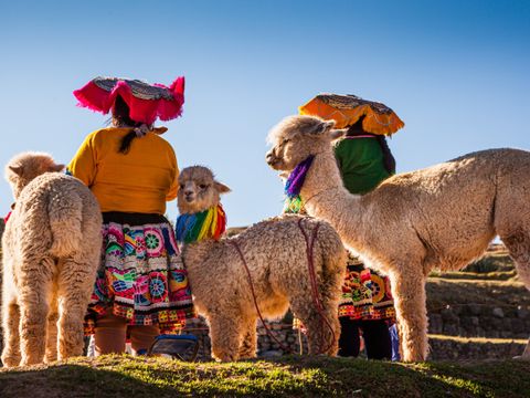 AdobeStock_472906767