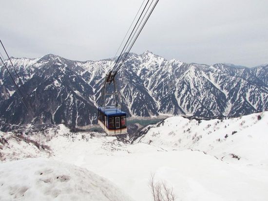 圧巻の雪壁！20m級の雪壁を歩く 雪の大谷＋世界遺産・白川郷と小京都・飛騨高山 立山黒部アルペンルートの絶景旅2日間＜1泊2日／名古屋発着＞