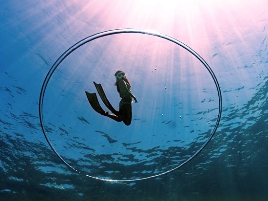 ページ 2) ウミガメ | 沖縄本島の観光・オプショナルツアー専門予約