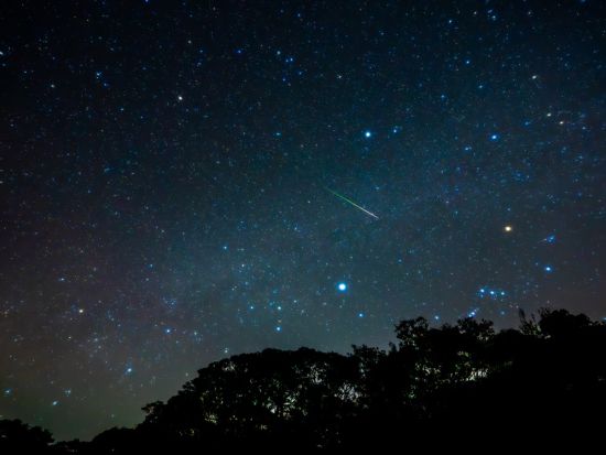 【星・星座・流れ星を楽しむ】やんばる星語りツアー 星のソムリエがご案内！沖縄ならではの星に関するエピソードを楽しくお伝えをします〈約60分／国頭村森林公園〉