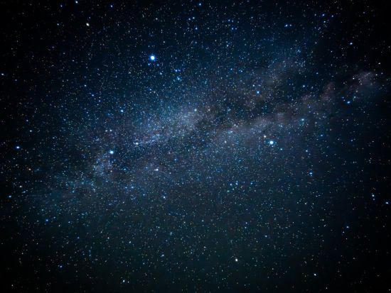 【星・星座・流れ星を楽しむ】やんばる星語りツアー 星のソムリエがご案内！沖縄ならではの星に関するエピソードを楽しくお伝えをします〈約60分／国頭村森林公園〉