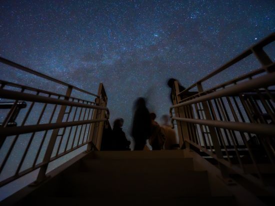 【星・星座・流れ星を楽しむ】やんばる星語りツアー 星のソムリエがご案内！沖縄ならではの星に関するエピソードを楽しくお伝えをします〈約60分／国頭村森林公園〉