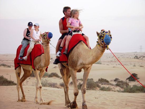 Camel Rides