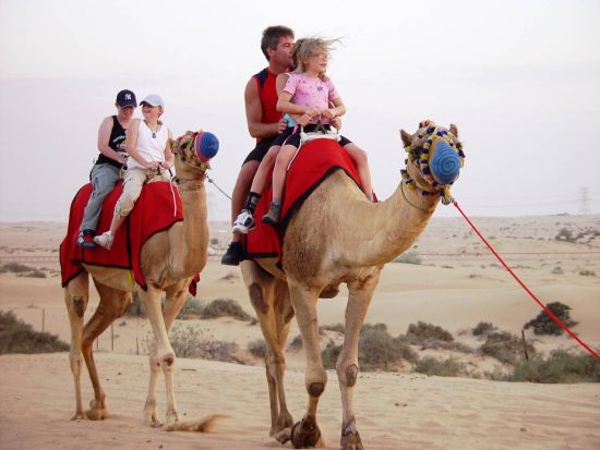 【混載】おすすめ！デザートサファリ　砂丘ドライブ＋アラビアンBBQディナー＋ファイヤーショー＜午後発／往復送迎付／BBQディナー付／ドバイ発＞