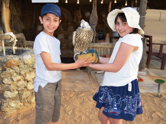 【混載】おすすめ！デザートサファリ　砂丘ドライブ＋アラビアンBBQディナー＋ファイヤーショー＜午後発／往復送迎付／BBQディナー付／ドバイ発＞