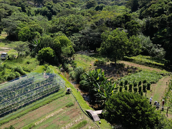 スクリーンショット 2024-11-01 20.28.29