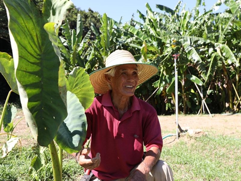 繝輔ｙ繝ｫ繝ｼ繧ｽ繧吶・繝ｳ2024_9譛・sango_mot_2024_09_02_0210