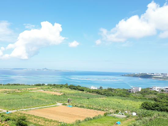 スクリーンショット 2024-11-01 20.30.40