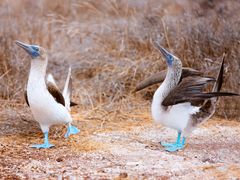 AdobeStock_50275815