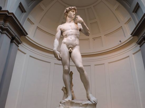 アカデミア美術館でミケランジェロのダヴィデ像鑑賞！美術ガイドチヅさんと巡るプライベートツアー ＜1.5時間／日本語／貸切＞