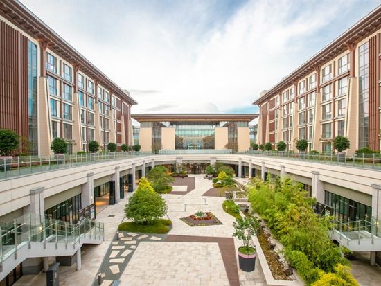 済州島1日観光ツアー　翰林公園＆挟才海水浴場＆イニスフリー済州ハウスなど人気スポットを網羅 ＜昼食付き／日本語ガイド＞