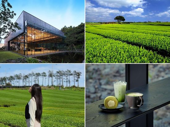 オソルロクティーミュージアム_02