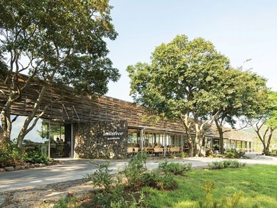 済州島1日観光ツアー　翰林公園＆挟才海水浴場＆イニスフリー済州ハウスなど人気スポットを網羅 ＜昼食付き／日本語ガイド＞