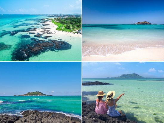 済州島1日観光ツアー　翰林公園＆挟才海水浴場＆イニスフリー済州ハウスなど人気スポットを網羅 ＜昼食付き／日本語ガイド＞