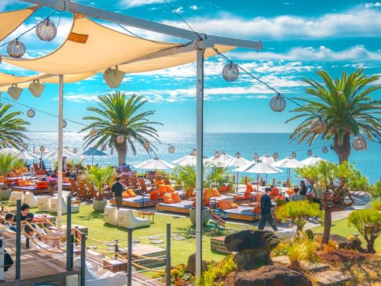 済州島1日観光ツアー　翰林公園＆挟才海水浴場＆イニスフリー済州ハウスなど人気スポットを網羅 ＜昼食付き／日本語ガイド＞