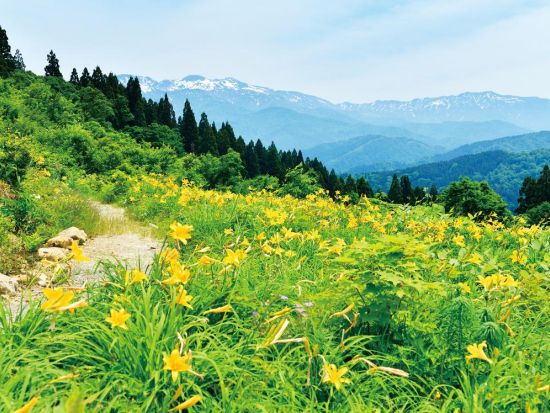 【多言語音声ガイド案内付】金沢発バスツアー 季節ごとに異なる“魅力の３コース” 初夏は白山高山植物園、秋は白山白川郷ホワイトロードへ＜金沢駅発着＞