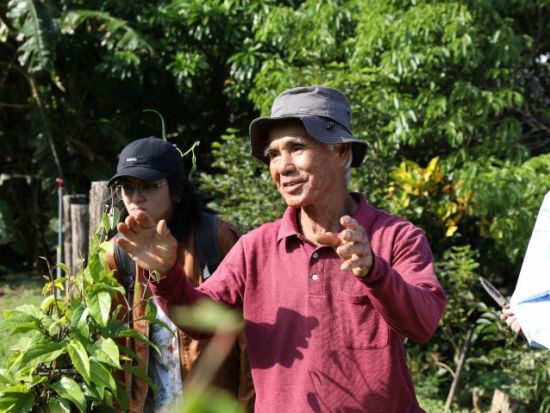 やんばる有機農園体験 おじいと野菜収穫＆おばあと沖縄家庭料理作り お腹もココロも大満足プラン＜オーガニックランチ付／約3時間＞