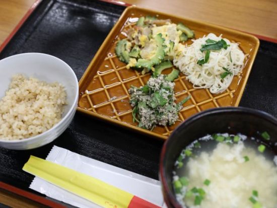 やんばる有機農園体験 おじいと野菜収穫＆おばあと沖縄家庭料理作り お腹もココロも大満足プラン＜オーガニックランチ付／約3時間＞