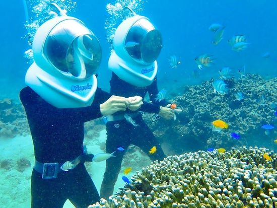 AP1GczPWjhq8MYgSZbo38iZDV1dKDp4f