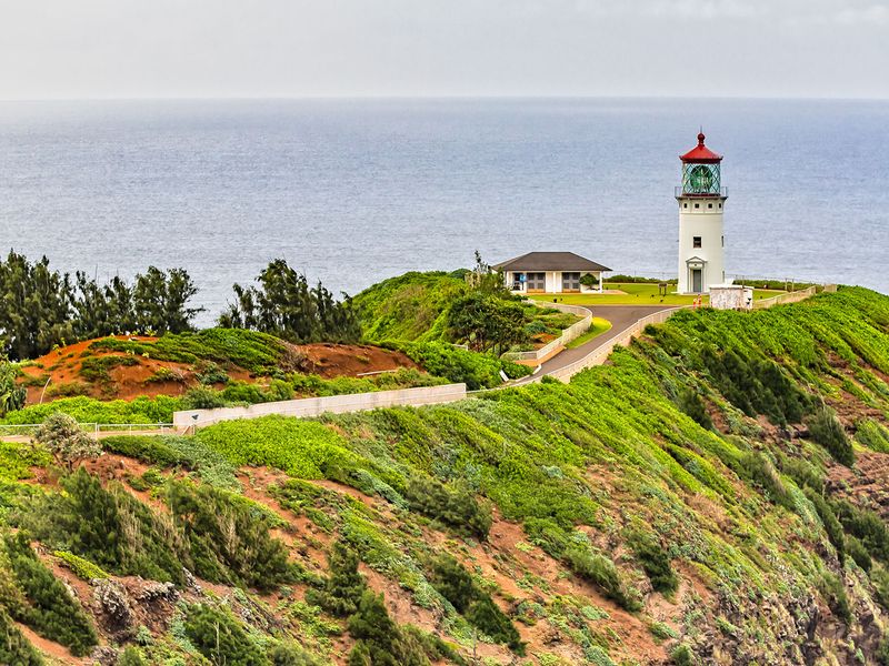 shutterstock_1104980453