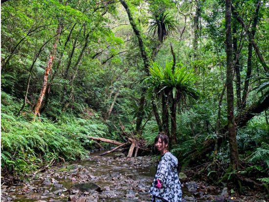 ジャングル探検と命の水・パワースポット巡り 奄美認定ガイド平井さんと知られざる秘境 奄美の神秘へ行く旅 ＜約6時間／名瀬＞ by 奄美愛ネット