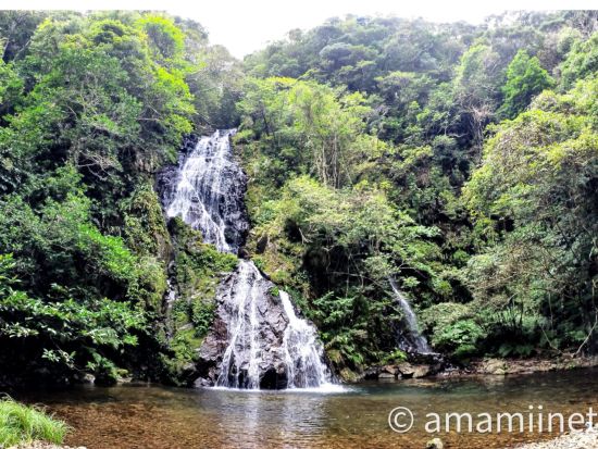 ジャングル探検と命の水・パワースポット巡り 奄美認定ガイド平井さんと知られざる秘境 奄美の神秘へ行く旅 ＜約6時間／名瀬＞ by 奄美愛ネット