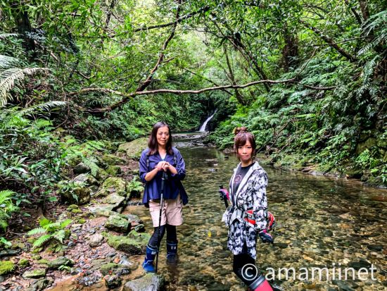 ジャングル探検と命の水・パワースポット巡り 奄美認定ガイド平井さんと知られざる秘境 奄美の神秘へ行く旅 ＜約6時間／名瀬＞ by 奄美愛ネット