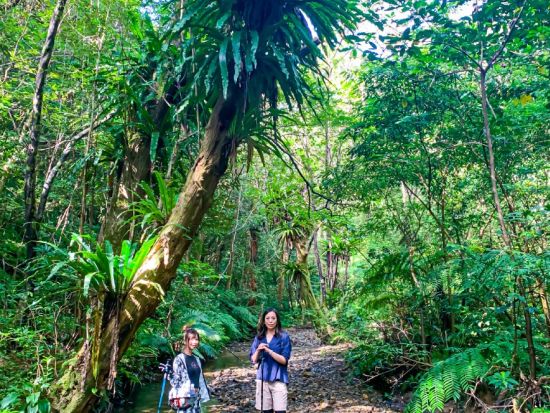 ジャングル探検と命の水・パワースポット巡り 奄美認定ガイド平井さんと知られざる秘境 奄美の神秘へ行く旅 ＜約6時間／名瀬＞ by 奄美愛ネット