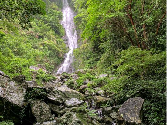 奄美フリーツアー お好きな場所へ奄美認定ガイド平井さんがご案内するオーダーメイドの旅 ＜約8時間／名瀬＞ by 奄美愛ネット