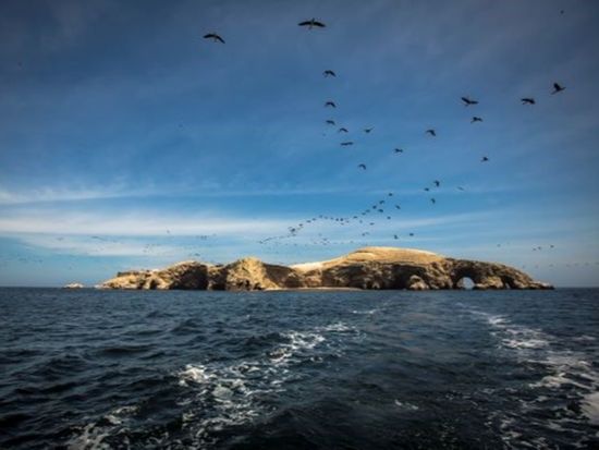 バジェスタス島