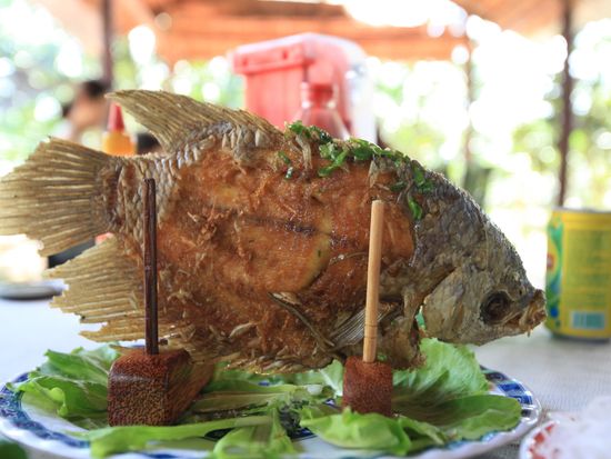 Vietnam_Mekong Delta_Elephant Fish_pixta_67145201