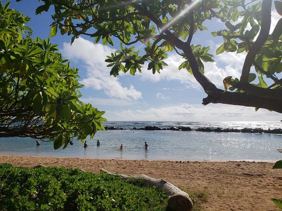 Lydgate State Park shutterstock_1195444702