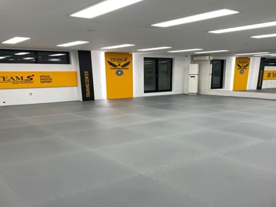 テコンドー体験教室 韓国代表出身の師範が指導！初心者にもおすすめの手ぶらでテコンドー体験＜江南・ヤンジェ駅／韓国語＆英語＞