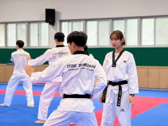 テコンドー体験教室 韓国代表出身の師範が指導！初心者にもおすすめの手ぶらでテコンドー体験＜江南・ヤンジェ駅／韓国語＆英語＞